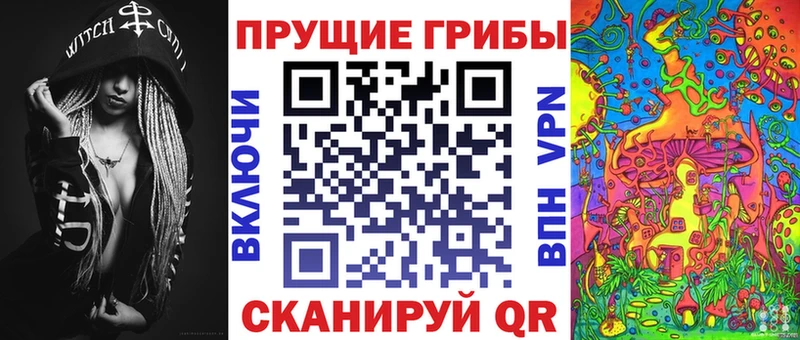 закладка  Орехово-Зуево  Галлюциногенные грибы Psilocybe 